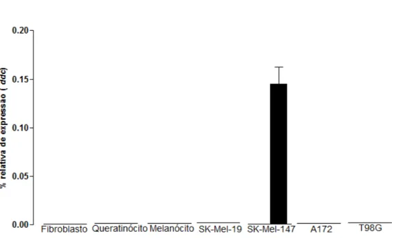 Figura  12:  Expressão  realtiva  do  gene  ddc  da  via  de  produção do  DMT  por PCR  em  tempo  real  em  cultura  primária  de  fibroblasto, queratinócito e melanócitos humanos e em linhagens de melanomas humanos SK-Mel-19 e SK-Mel-147, bem  como em l