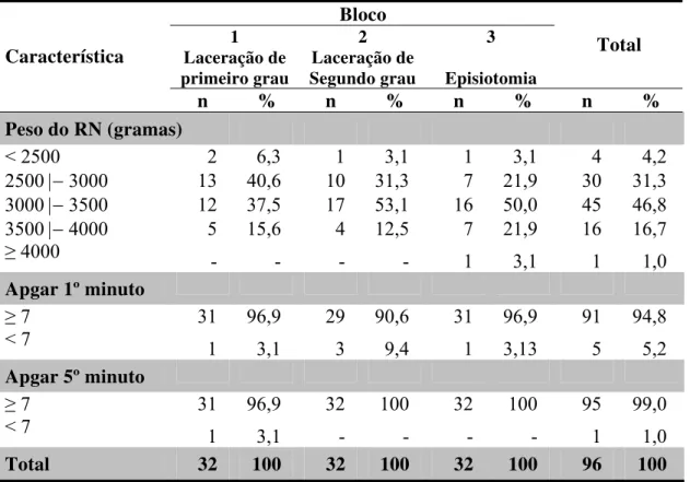 Tabela 2.  Características dos recém-nascidos, segundo os blocos 1, 2 e 3. São  Paulo, 2004