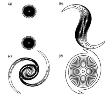 Figura 5: Campo de vorticidade durante o emparelhamento de 2 v´ortices em um meio fluido estacion´ario