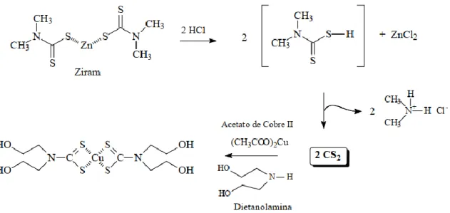 Figura 3: Hidrólise ácida do ditiocarbamato Ziram (Mello, 2014). 