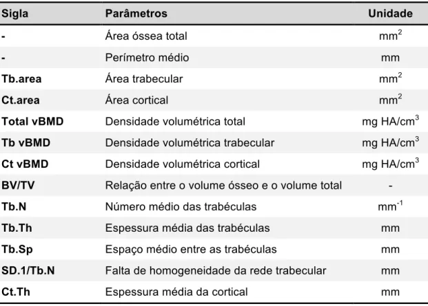Tabela 3 - Parâmetros fornecidos pela HR-pQCT 