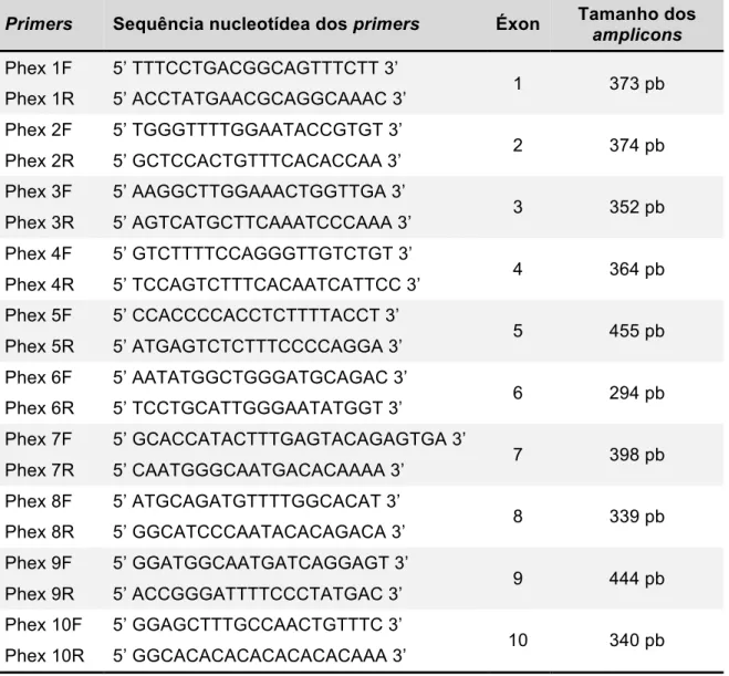 Tabela  1  –  Sequência  dos primers  para  a  avaliação  da  região  codificadora  do gene PHEX, éxons amplificados e tamanho dos amplicons 