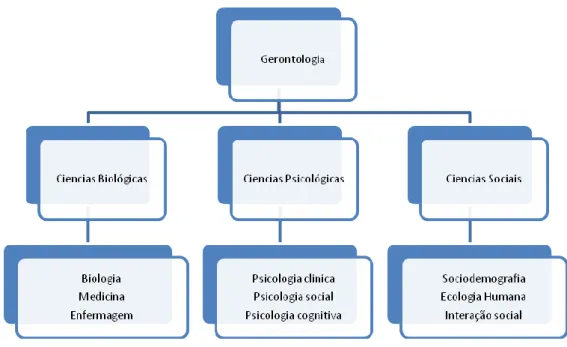 Figura 2: Multidisciplinariedade da Gerontologia 