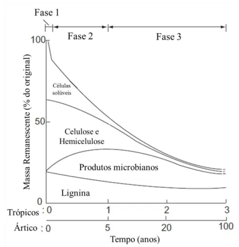 Figura  1  –   Representação  da  decomposição  foliar  ao  longo  do  tempo  com  os  principais  constituintes  químicos  as  três  principais  fases  da  decomposição  e  a  escala  de  tempo  comumente  encontrado  em  ambientes  quentes  (tropicais)  