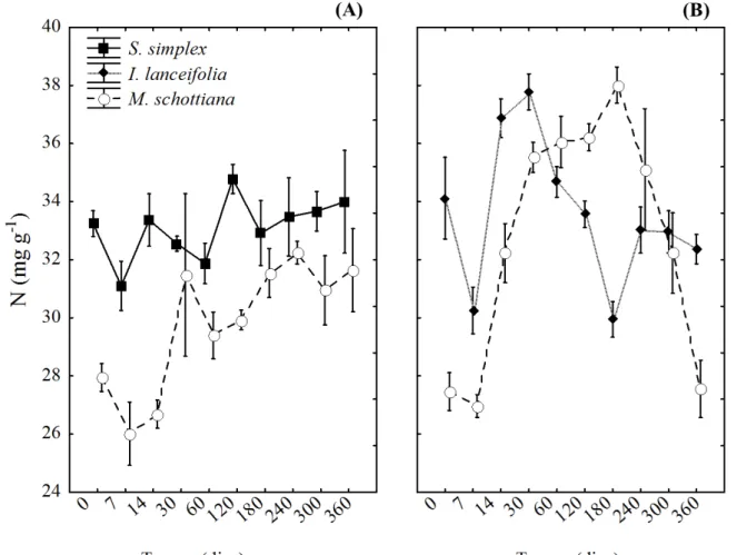 Figura  14  -  Concentração  de  nitrogênio  (mg  g -1 )  nas  folhas  em  decomposição,  durante  360  dias  de  decomposição  na  floresta  de  Terras  Baixas  (100m)  (A)  e  Montana  (1000m)  (B)