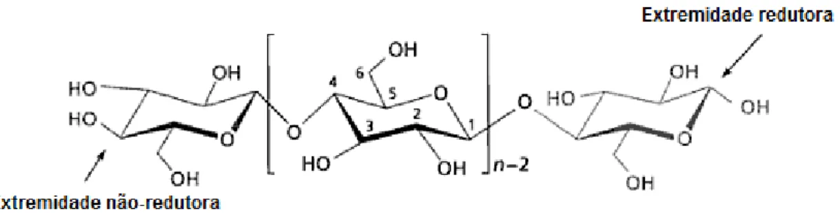 Figura 1 -Estrutura molecular da celulose em conformação em cadeira e a numeração dos átomos de  carbono