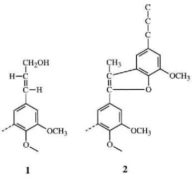 Figura 6 - Estruturas do tipo cinamil álcool (1) e fenilcumarona (2). (33) 