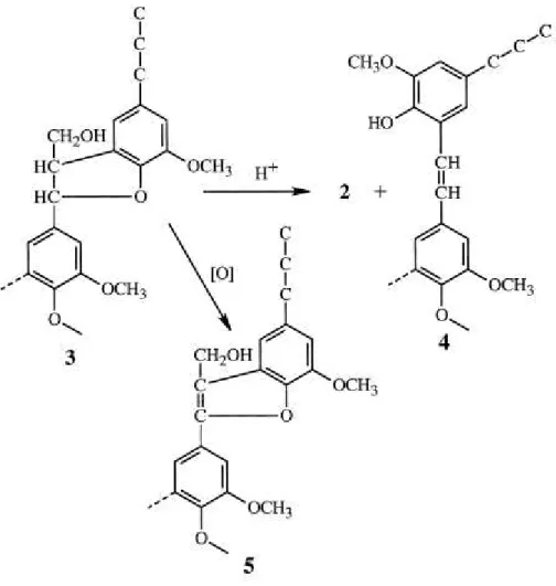 Figura 7 - Reações de acidólise e oxidação de estruturas do tipo fenilcumaran (3). (33) 