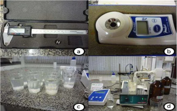 Figura  4  -  Aparelhos  utilizados  nas  análises  físico- químicas  dos  frutos  de  jabuticabeira  ‘Sabará’,  colhidos  em  diferentes  estádios  de  desenvolvimento