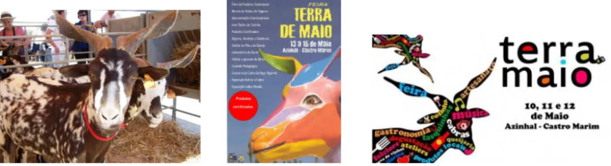 Figura 12. Terras de Maio (concurso - exposição de cabras algarvias e posters da feira) 