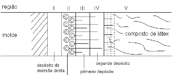 Figura 3 – Diagrama de depósito de borracha no processo de imersão com  coagulante [43]