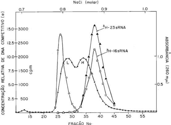 Fig. 1 - Cromatografia de DNA desnaturado em coluna de albumina metilada- metilada-kieselguhr,