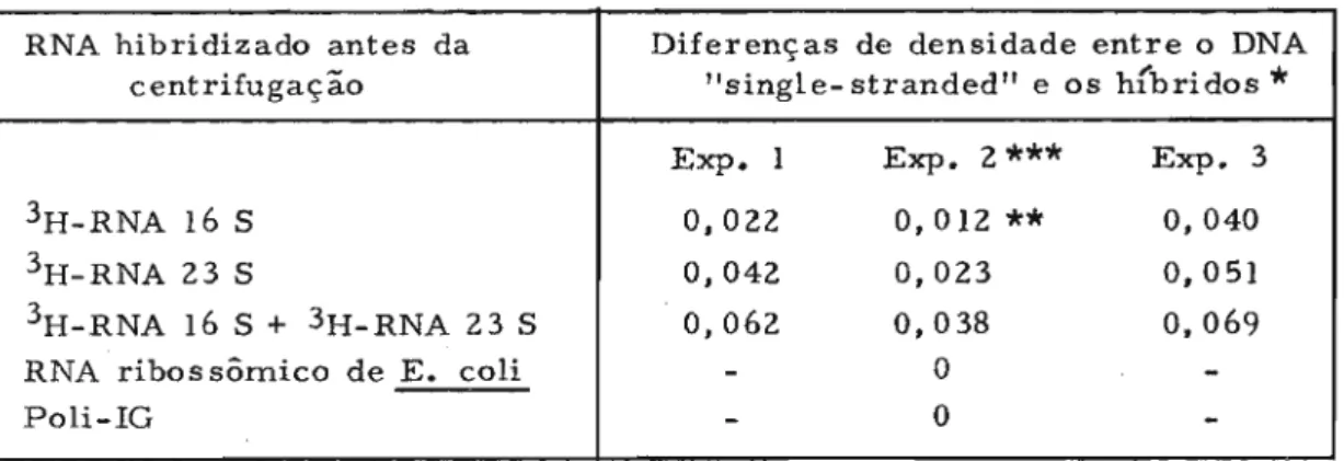 TABELA I - Destocamentos na densidade dos fragmentos de DNA conten do informações para RNA ribossômico após hibridização  -com RNA.