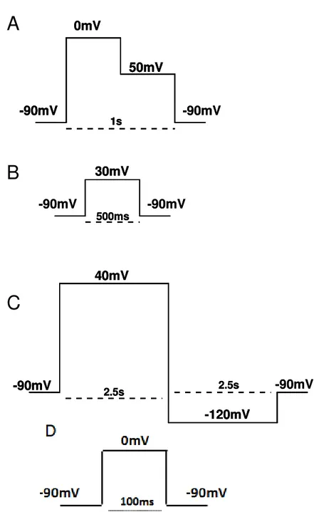 Figura 8: Protocolo de pulsos voltagem utilizado para registros das correntes de potássio e de  sódio  de  oócitos    de  X