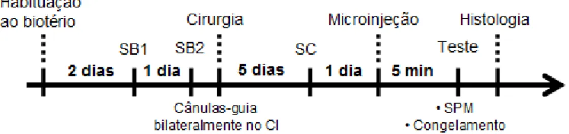 Figura 8. Esquema representativo do delineamento dos experimentos com o teste do sobressalto potencializado pelo  medo (SPM)