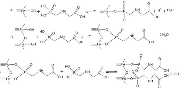 FIGURA 1. 4: Proposta de esquemas de reação entre glifosato e óxido de ferro: (A)  complexo  superficial  monodentado;  (B)  complexo  bidentado;  (C)  formação  de  complexo  monodentado  com  denso  empacotamento  a  partir  de  complexo  bidentado  medi