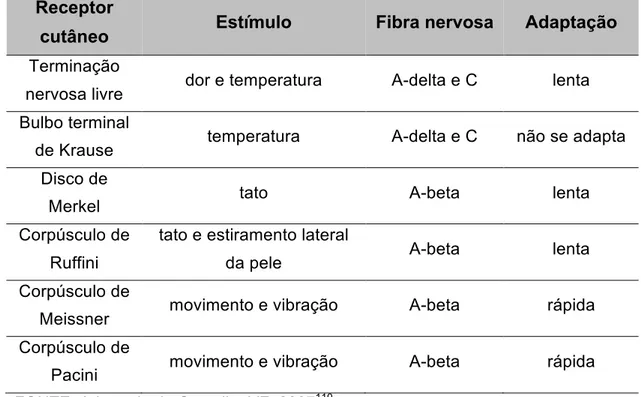 Tabela  1  –  Modalidade  de  sensibilidade  (estímulo),  tipo  de  fibra  nervosa  e  forma de adaptação dos diversos tipos de receptores cutâneos  Receptor 
