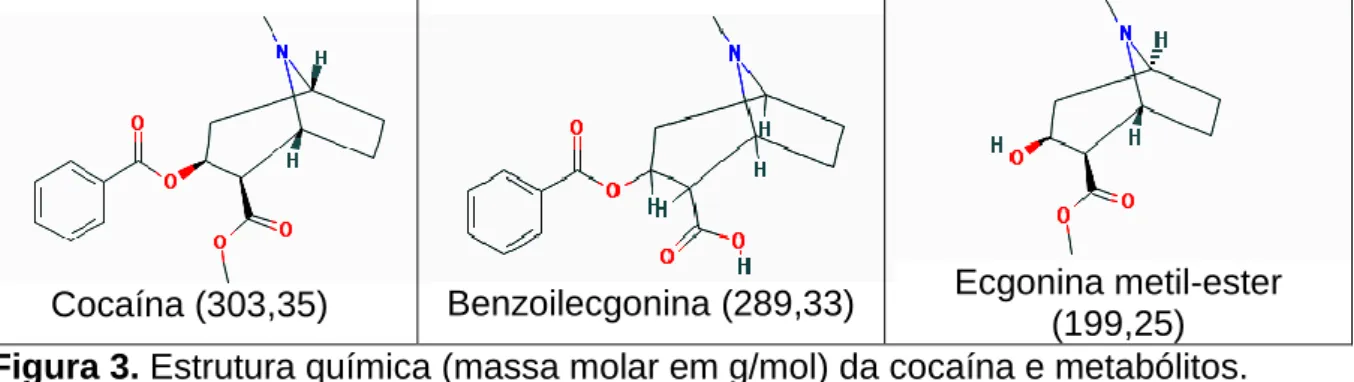 Figura 4. Metabolismo da cocaína (Koob et al., 2006)  