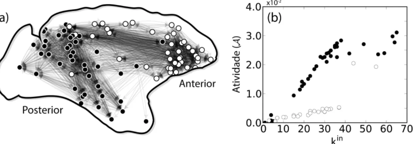 Figura 21 – (a) Visualização das duas comunidades do maior componente fortemente conexo da rede cortical da Macaca
