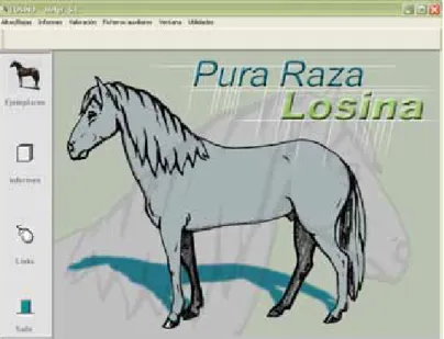 Figura 7. Interface da versão de demonstração do software Gescab Losina cedida à Associação de  Criadores do Cavalo do Sorraia  