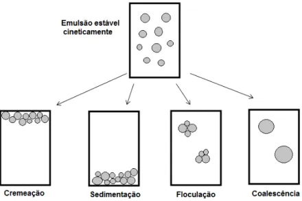 Figura 3. Variedades de mecanismos físicos que podem tornar uma emulsão instável. 