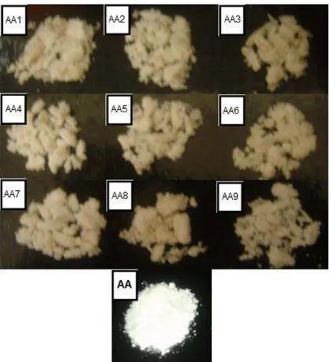 Figura 10. Amostras obtidas após liofilização e ácido ascórbico puro em pó. 