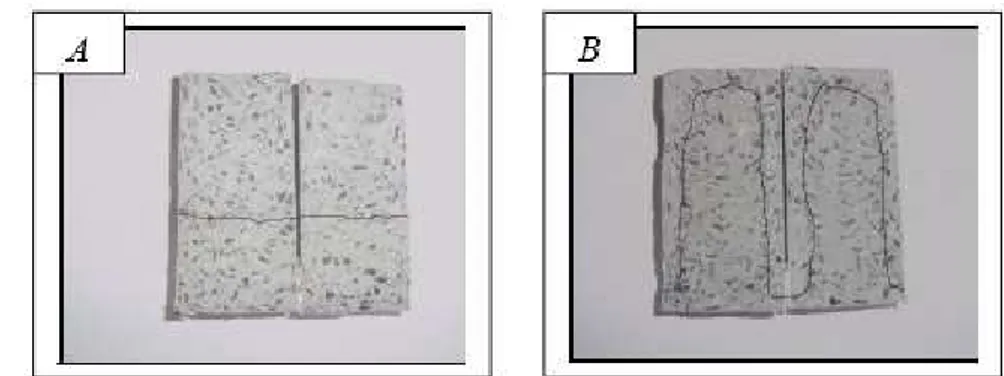 Figura 2.12 – Corpos-de-prova após a ruptura do ensaio de absorção de água por capilaridade: (a)  referência e (b) com SFS