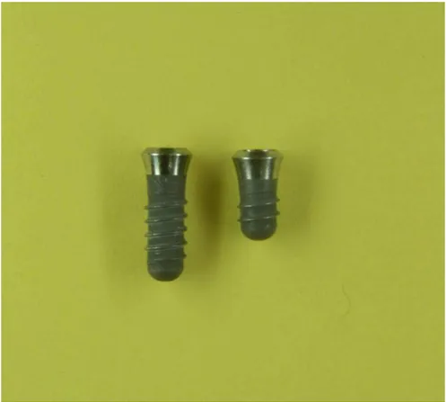 Figura 4.1 - Implantes da marca Straumann com 10,0 mm e 6,0 mm de comprimento,  respectivamente 