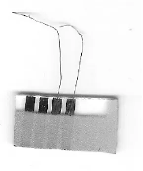 Figura 4.3 – Fotografia de um dispositivo (20x10 mm) construído a partir de PbI 2  depositado  por spray pyrolysis sobre substratos de vidro (corning glass) com contatos de paládio  previamente evaporados