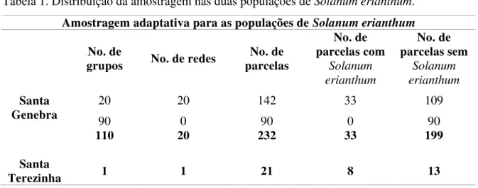 Tabela 1. Distribuição da amostragem nas duas populações de Solanum erianthum. 