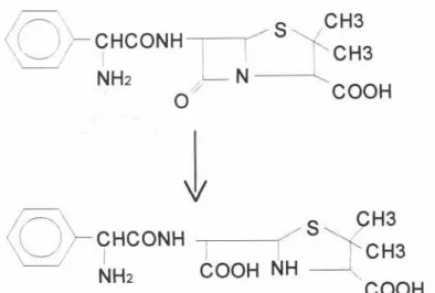 Figura 3 Biotransfonnação hepática da ampicilina 31, 76