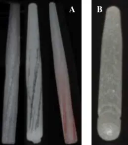 Figura  1:  Pinos  de  fibra  de  vidro:  (A)  Glassix+plus  (com  retenções  mecânicas)  original  e  com  evidência  das  retenções, respectivamente