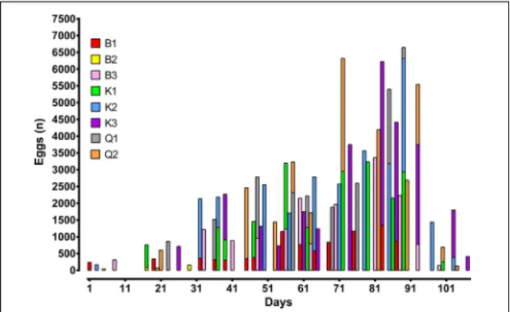 FIGURE 7 | Number of eggs obtained in each batch and in each tank during the reproduction stage of experiment.