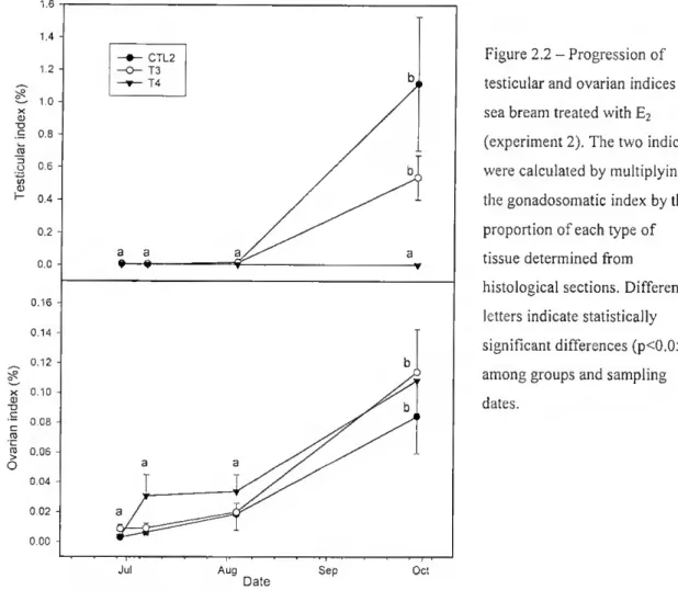 Figure 2.2 - Progression of  testicular and ovarian Índices in  sea bream treated with E2  (experiment 2)