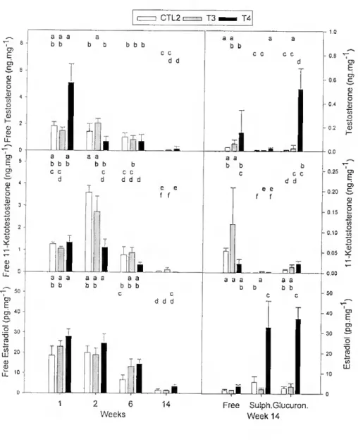 Figure 2.6 - Steroid output by gonadal tissue fragments incubated with androstenedione and measured by  RIA in fish treated with £2- Different letters above bars represent statistically significant differences  (p&lt;0.05) among groups and sampling dates o