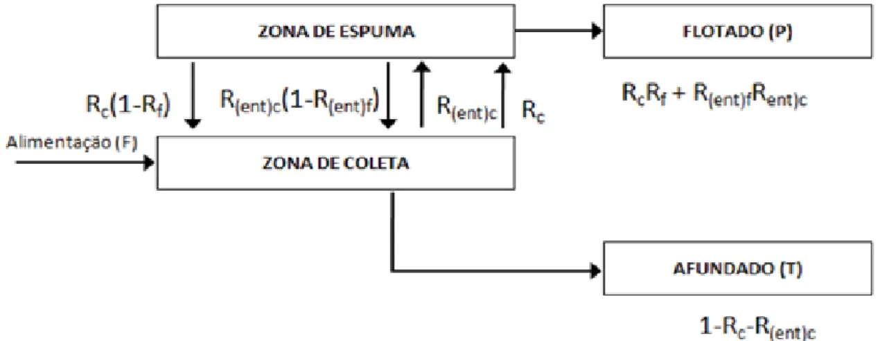 Figura 3. Modelo para cálculo da recuperação mineral em sistema de flotação considerando zona de coleta, zona  de limpeza, recuperação por flotação verdadeira e por arraste mecânico na zona de coleta e zona de limpeza 