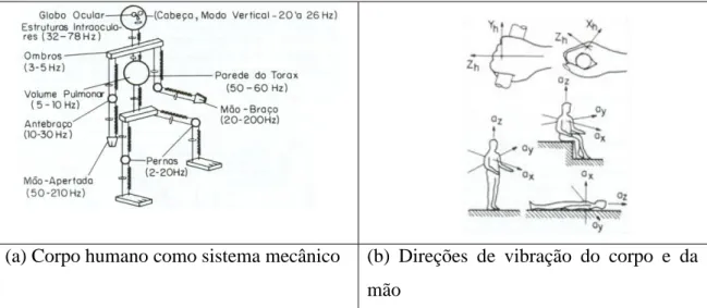 Figura 3.1 – Vibrações e suas direções no corpo humano (GERGES, 2005). 