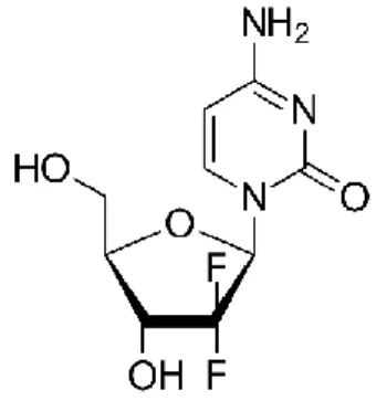 Figure 5 – Gemcitabine´s chemical structure (54) 