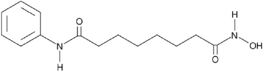 Figure 8 – SAHA´s chemical structure (77) 