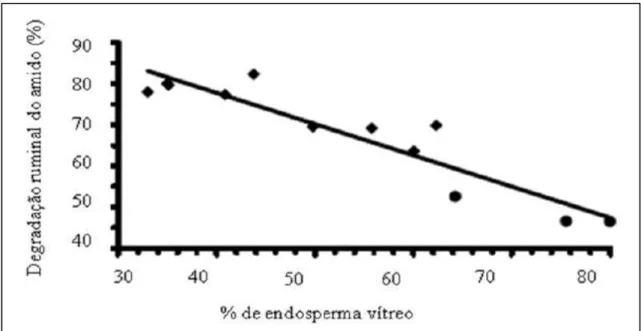 Figura 2 - Degradação ruminal do amido em função da percentagem do   endosperma  vítreo 