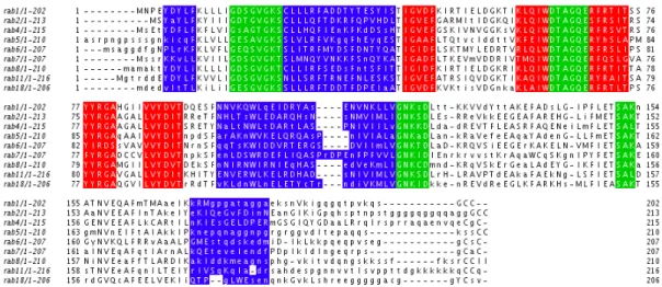Figure 2.9: Consensus sequence alignemnt. Residues appearing in more than 50% of the sequences are in uppercase