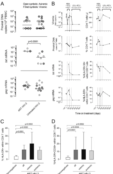 FIG. 3. Impact of ART on HIV-2 plasma and cell-associated viral load, CD4 T cell frequency, and T cell activation