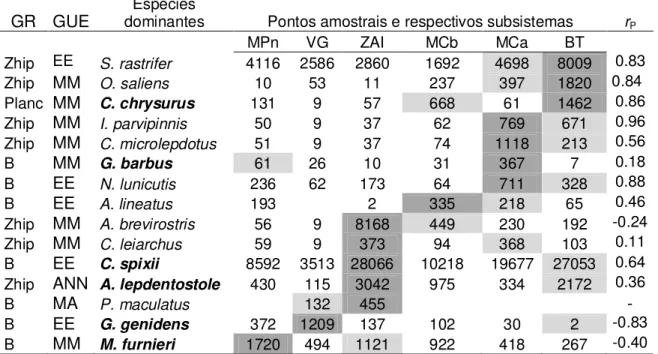 Tabela 12. Gradiente multiespecífico determinante da correlação canônica entre a assembleia demersal e o gradiente de salinidade do ECI