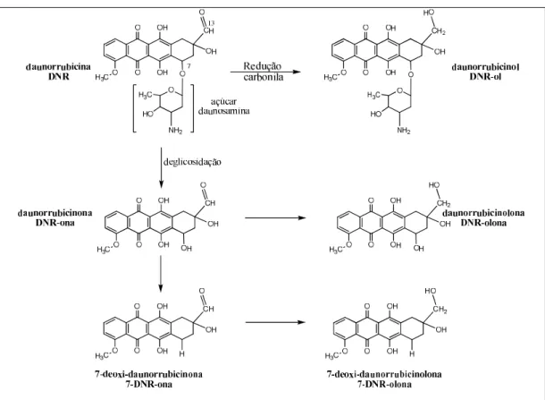 Figura  2:  Estruturas  dos  principais  metabólitos  da  daunorrubicina.  Esquema  adaptado de (ARNOLD, SLACK et al., 2004) 