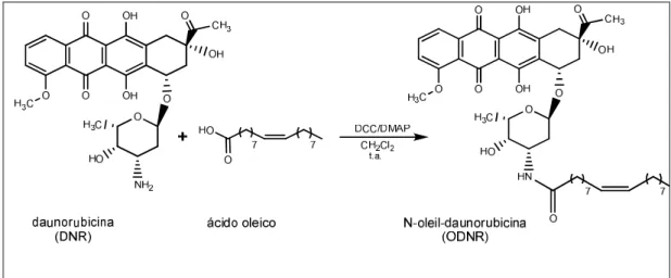 Figura  3:  Reação  de  obtenção  do  derivado  N-oleil-daunorrubicina  (ODNR)  a  partir  da DNR e do ácido oléico na presença de DCC e 4-DMAP a temperatura ambiente 