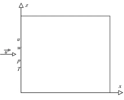 Figura 5.1 – Domínio computacional (0,5 m x 0,5 m) – Escoamento de ar à alta velocidade  na direção x da esquerda para a direita