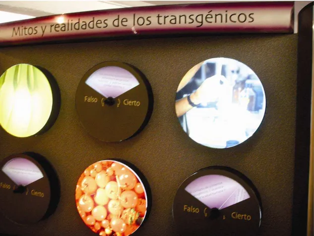 Figura 2: Painel interativo Mitos y realidades de los transgénicos 
