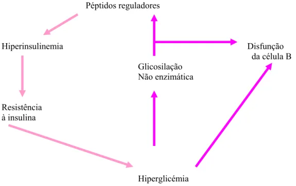 Figura I.10. A glicosilação não enzimática de proteínas contribuindo para a resistência à insulina