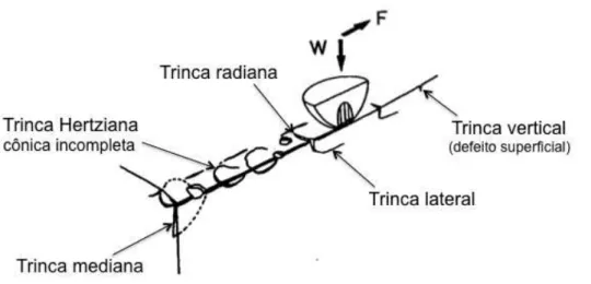 Figura 2.8 – Esquema de trincas induzidas pelo atrito. Força tangencial ou de atrito (F) e carga normal  (W)