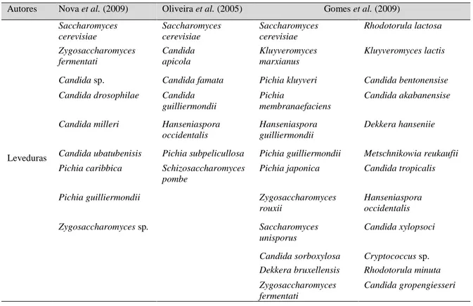 Tabela  V  -  Leveduras  isoladas  de  diversas  fermentações  de  cachaça  artesanal  (Oliveira  et  al.,  2005;  Nova et  al.,  2009; Gomes et al., 2009)
